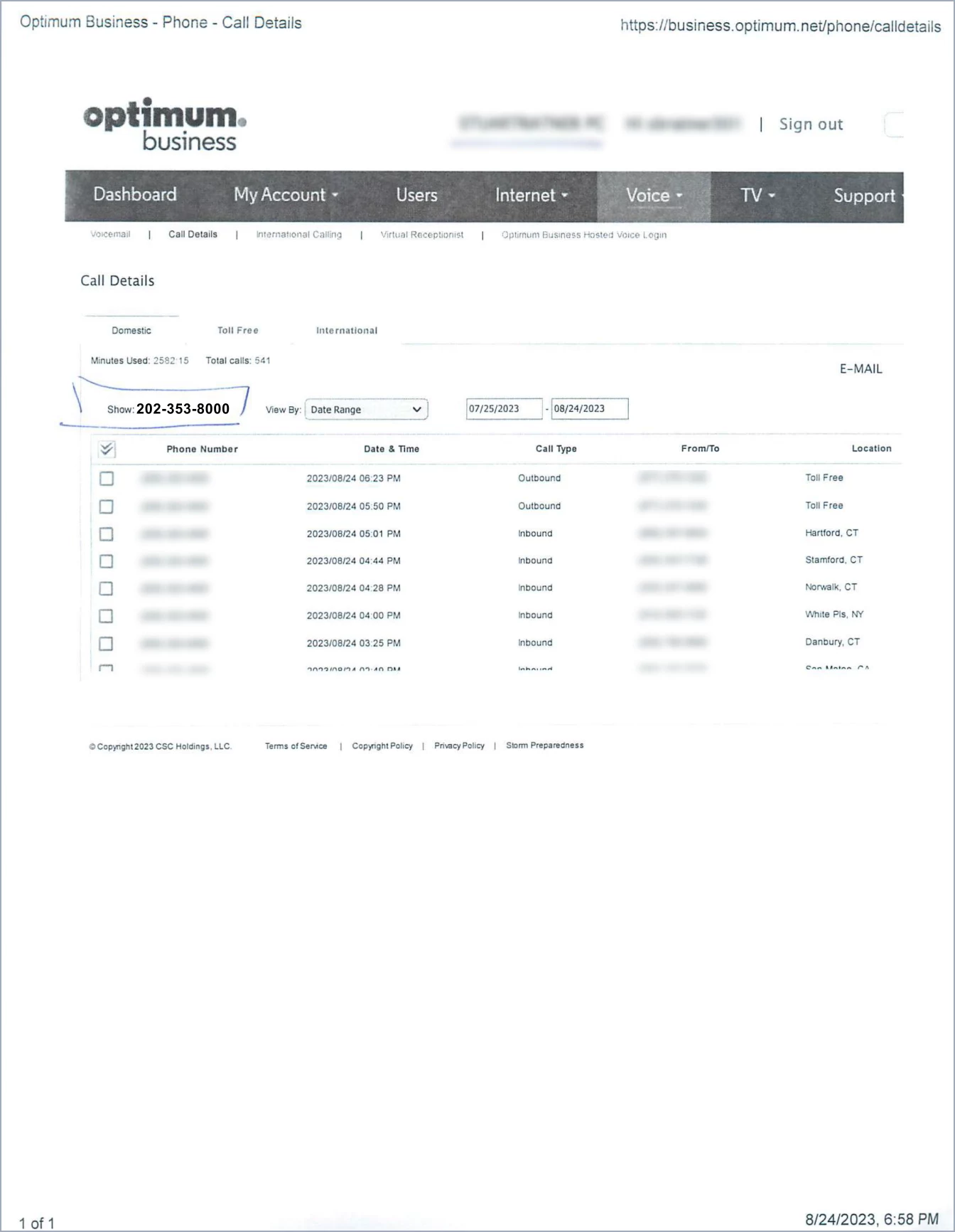 Sample: Business Phone Statement