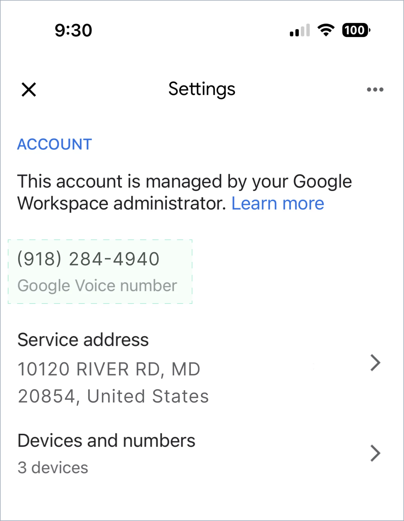 Sample: Google Voice Screenshot