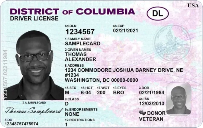 Sample: Driver's License