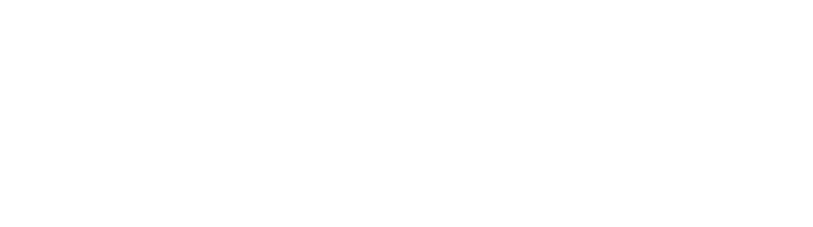 Palmetoo