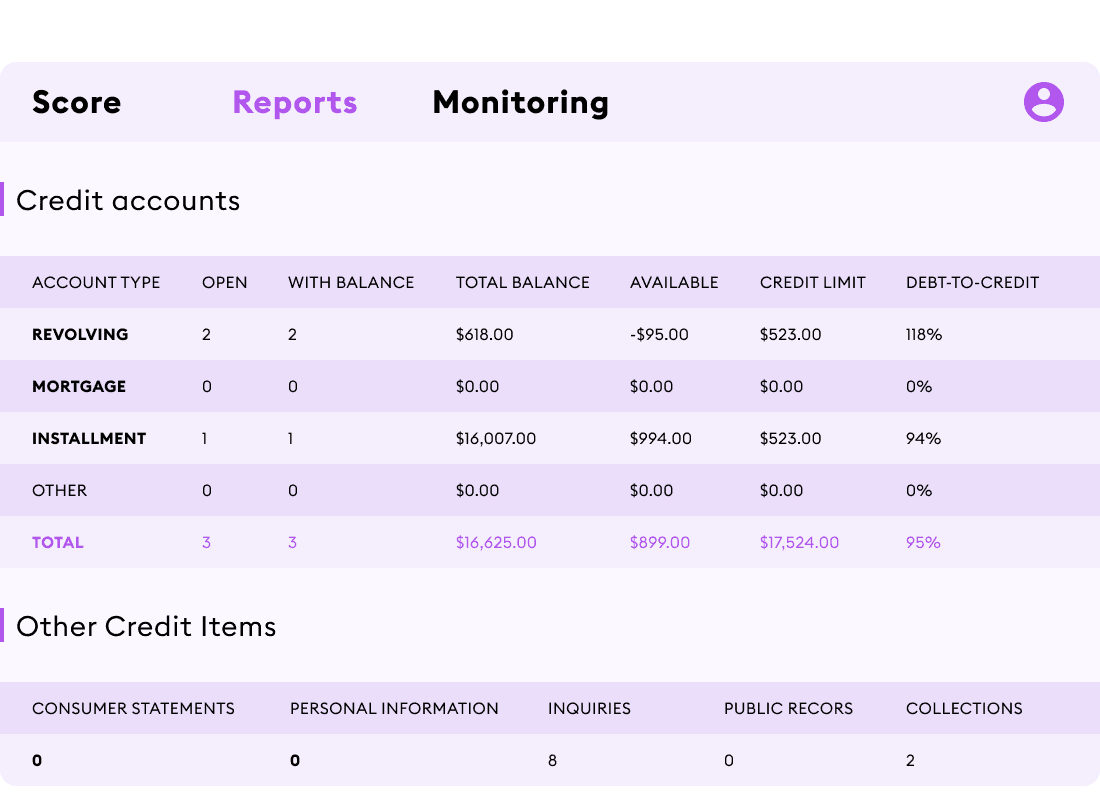 The monitoring screen with credit accounts