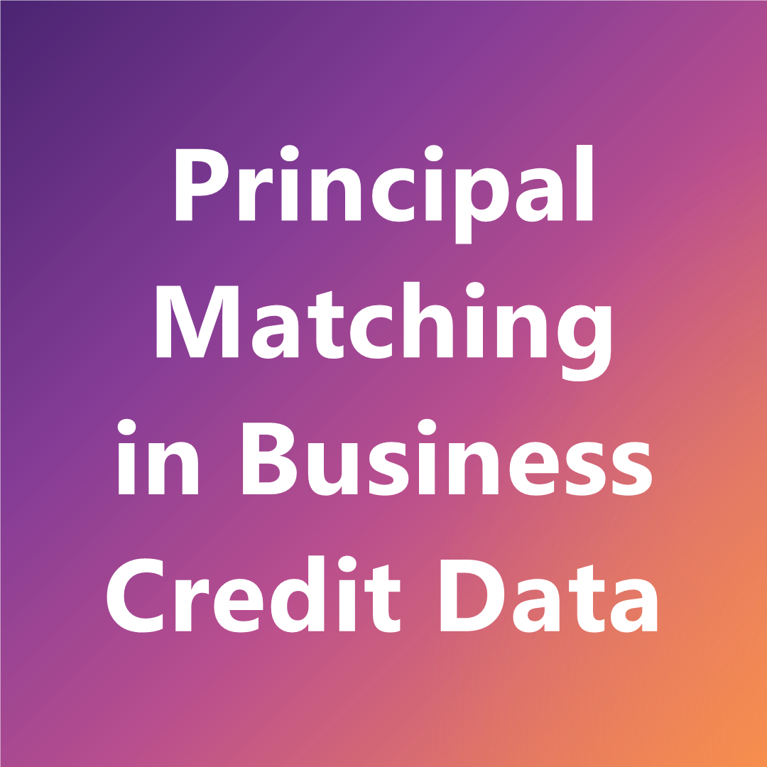 Principal matching in business credit data