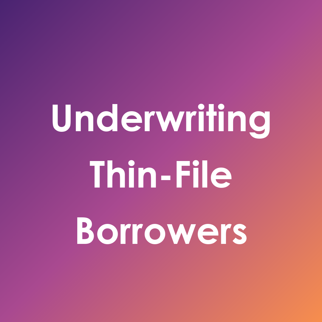 What Is the Best Way to Underwrite Thin-File Borrowers Using Alternative Data?